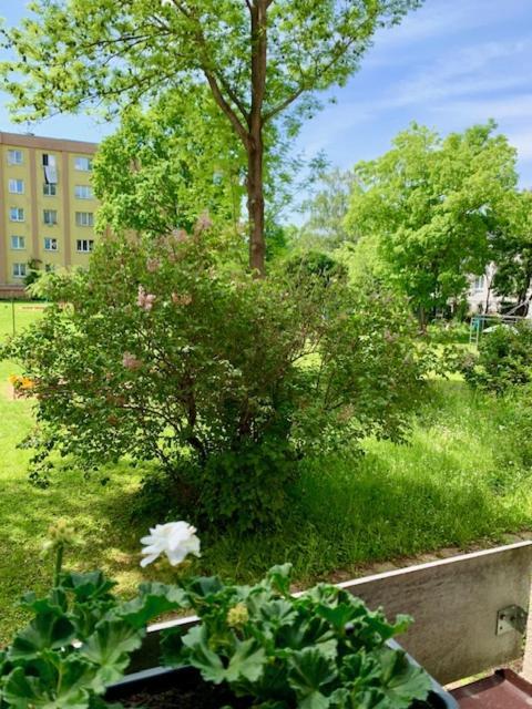 Apartman Snyt Primka Olomouc Esterno foto