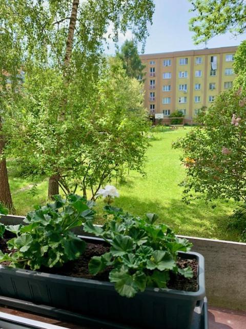 Apartman Snyt Primka Olomouc Esterno foto